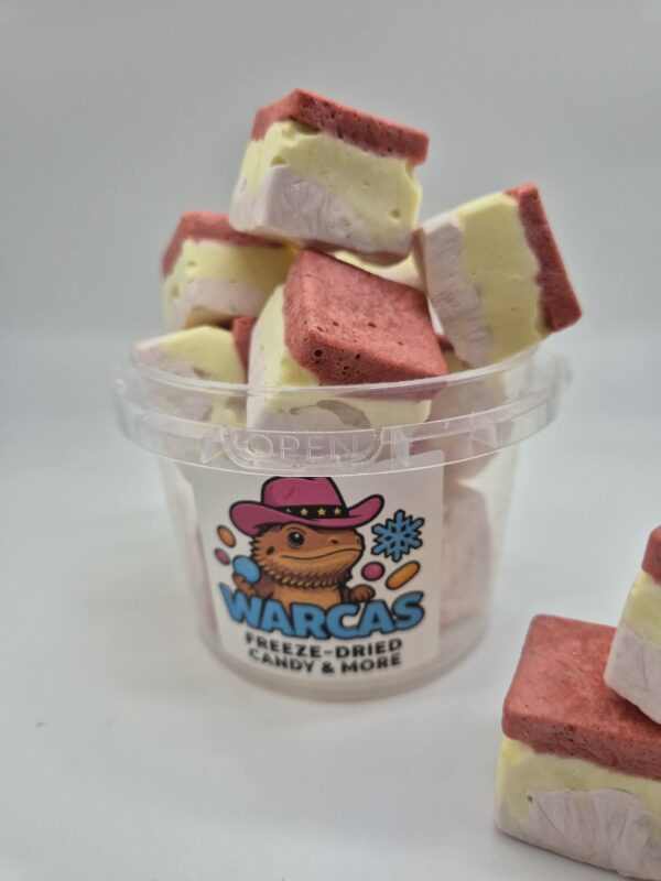 RaspberryCoulisVanillaPuddingStrawberryYoghurt Raspberry Coulis Vanilla Pudding & Yoghurt