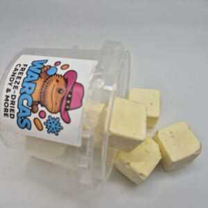 Vanilla Pudding Bites