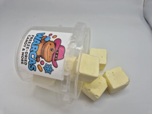 Vanilla Pudding Bites